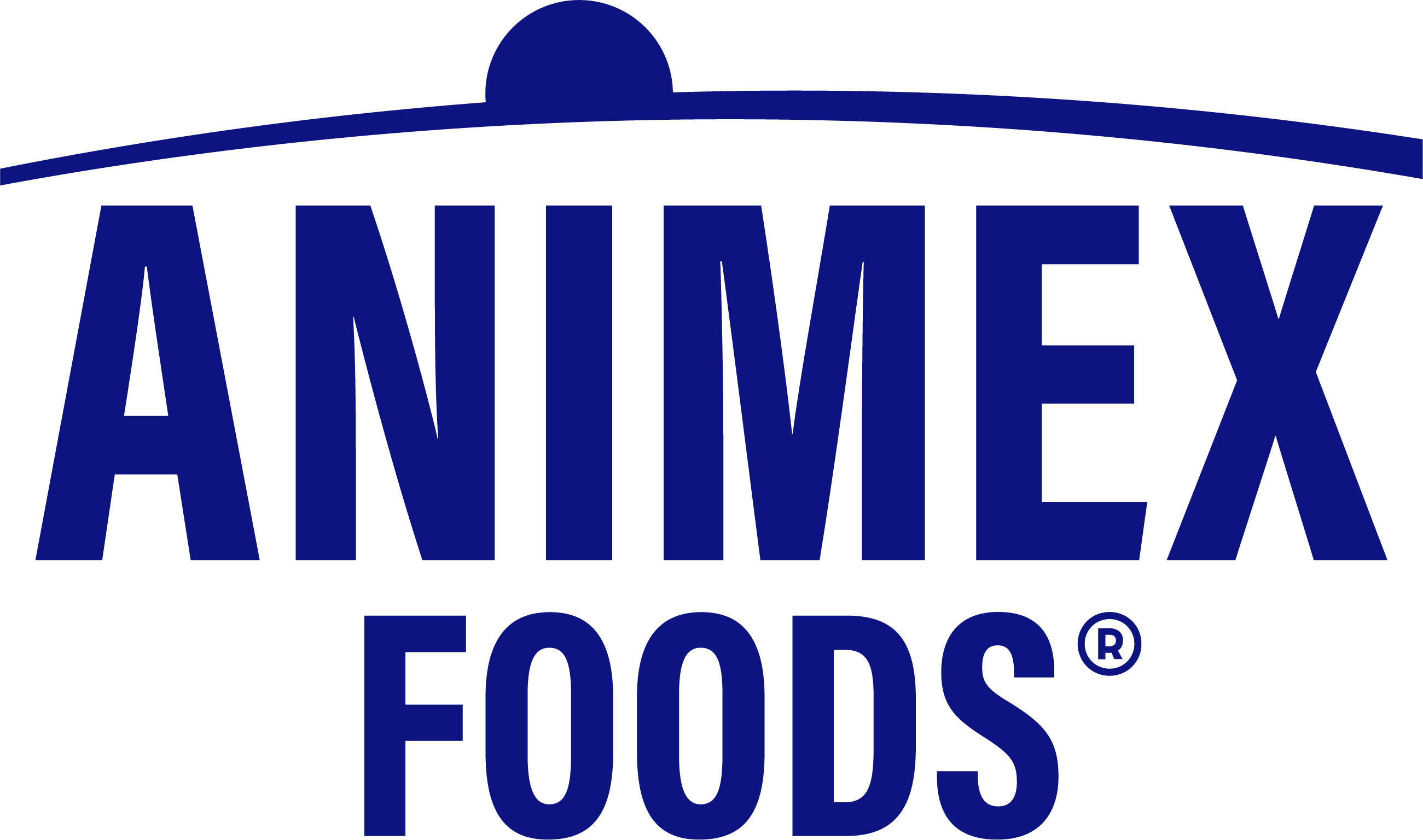 SCADA Asix w firmie Animex Foods Starachowice